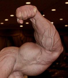 Todd Lamb - Alpha Nation - vascular arms