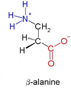 AlphaNation-BetaAlanine