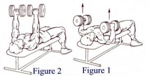 Todd Lamb - Alpha Nation - Best Way To Build Chest