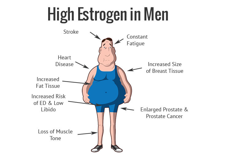 Estrogen Male 28