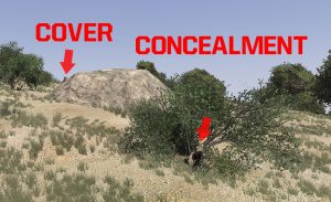 cover and concealment