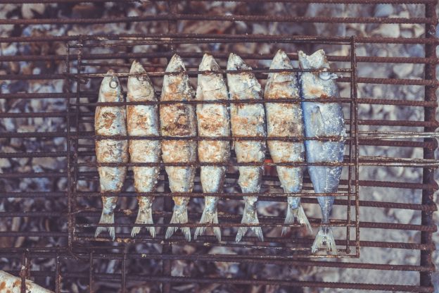 10 nutrient dense foods alpha nation sardines