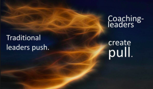 Push Pull Leadership - Alpha Nation