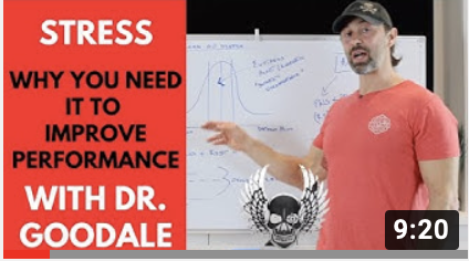 Manage Stress for High Performance